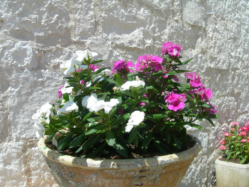 Masseria Montecchie Ceglie Messapica Ngoại thất bức ảnh