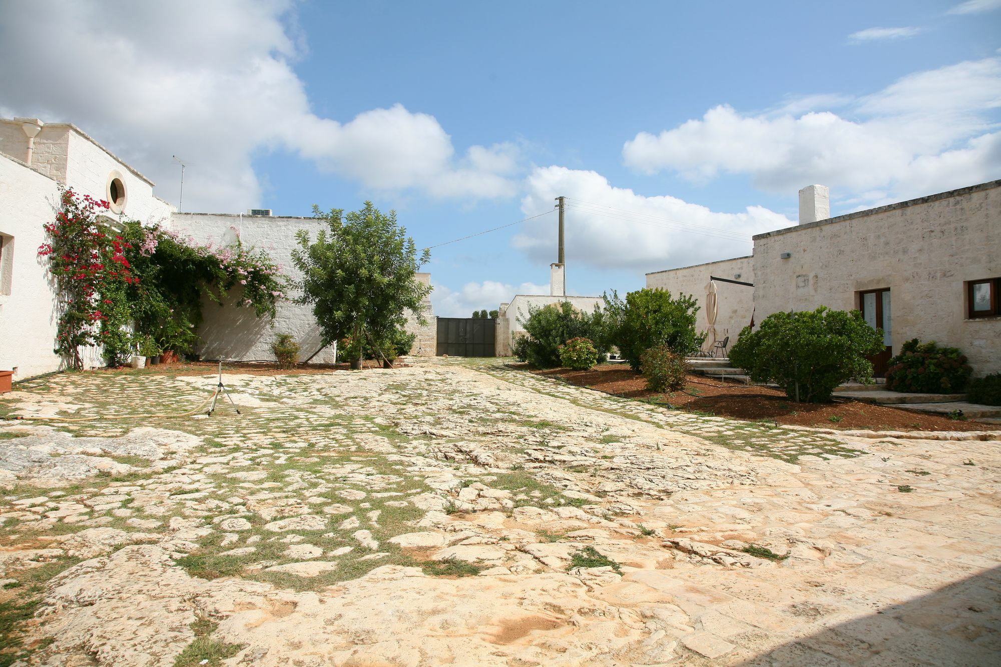 Masseria Montecchie Ceglie Messapica Ngoại thất bức ảnh